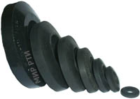 ������ ����